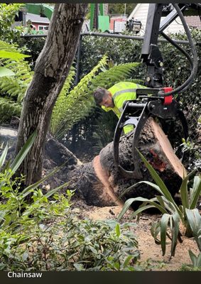 Photo of Cal-Line Tree Care - San Mateo - San Mateo, CA, US. We have equipment that takes trees out from the hardest spots at affordable prices.