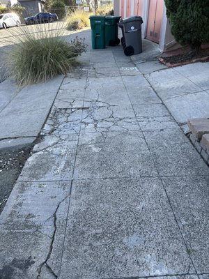 Photo of BlockBusters Concrete - San Francisco, CA, US. Before and after photos!