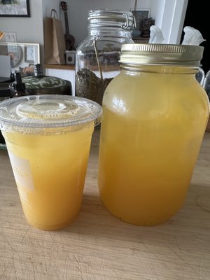 Photo of FUEL+ - Toronto, ON, CA. "Kombucha" 50% ice and really canned juice.