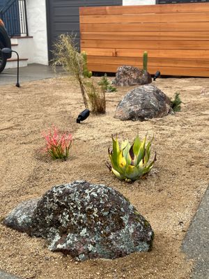 Photo of JML Landscapes - San Francisco, CA, US. Front yard detail