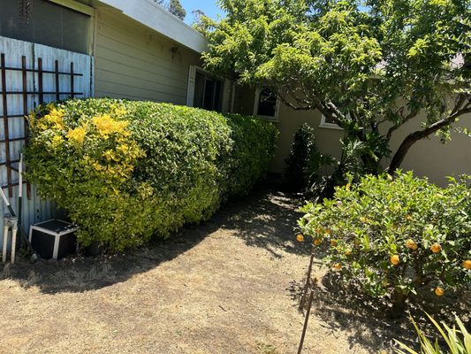 Photo of Orchid Landscaping & Gardening - San Francisco , CA, US. a view of the front of a house