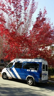 Photo of Blue Shuttle - San Mateo, CA, US.