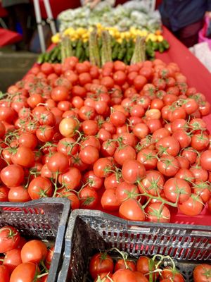 Photo of Alemany Farmers’ Market - San Francisco, CA, US. Tomatoes