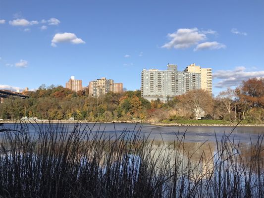 Photo of Inwood Hill Park - New York, NY, US.