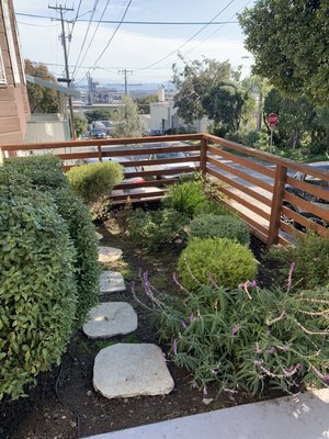 Photo of Blooms Gardening - San Francisco, CA, US. Regularly well pruned plants and shrubs in the front garden.