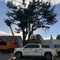 JMV Tree Service