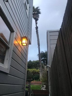 Photo of Cabrera Tree Care - San Francisco, CA, US. This tree was leaning more and more-so close to neighbors!