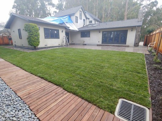 Photo of Ideal Landscape & Concrete - Menlo Park, CA, US. Delta Fescue Sod - Burlingame, CA