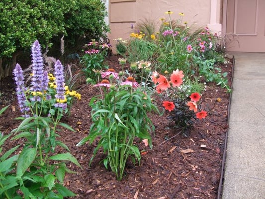 Photo of Gentle Giant's Gardening and Landscaping Services - San Francisco, CA, US.