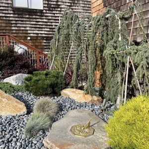 Tamate Landscaping on Yelp