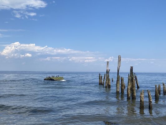 Photo of The Sands Point Preserve Conservancy - Sands Point, NY, US.