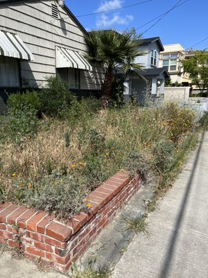 Photo of Willow Glen Gardening - San Jose, CA, US. Before