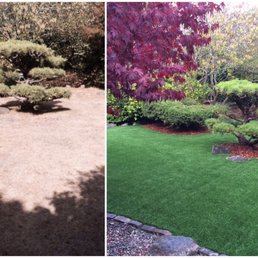 Photo of Forevergreen Landscape - San Francisco, CA, United States. Before & After