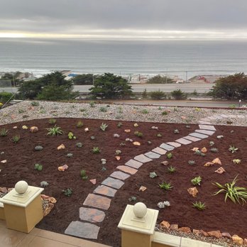 Our beautiful new xeriscape!