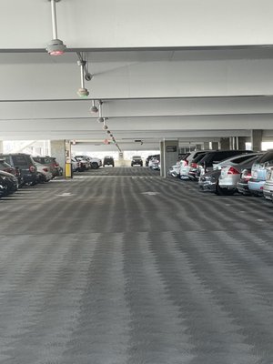Photo of SFO Long Term Parking - San Francisco, CA, US. Empty Spots EVEN THOUGH THEY MADE ME PARK MY CAR ON THE CURB!