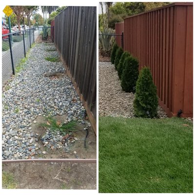 Photo of GoGarden - Daly City, CA, US. Fence stained