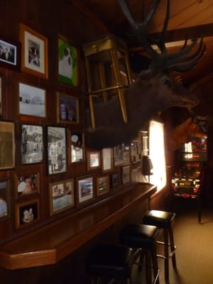 Photo of Buckhorn - Petaluma, CA, US. a bar with a deer head mounted on the wall