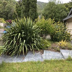 Fabian’s Gardening