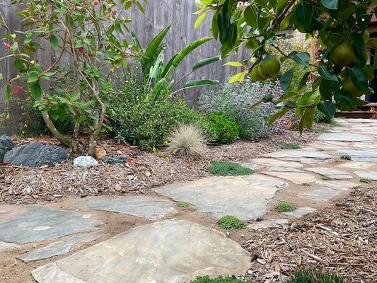 Photo of D A C Landscape S F - San Francisco, CA, US. a stone path in a garden