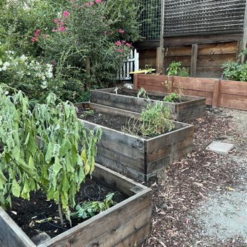 Garden beds and retaining wall