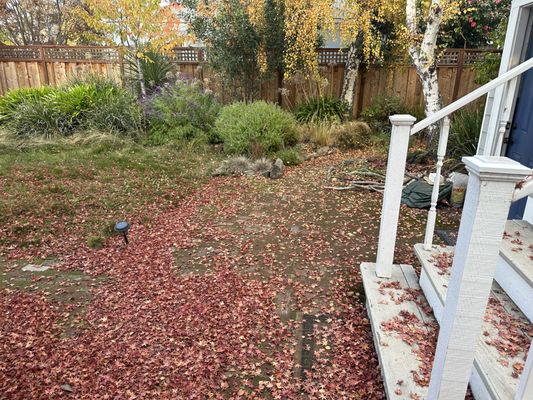 Photo of Willow Glen Gardening - San Jose, CA, US. backyard before