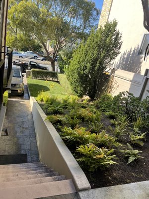 Photo of Sunrise Landscaping - San Francisco, CA, US. garden maintenance