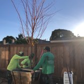 Gardeners, Landscaping, Tree Services
