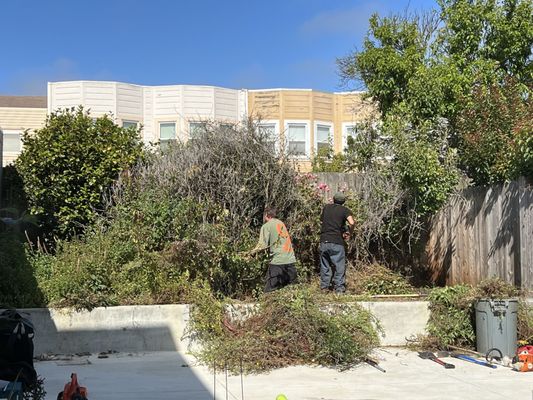 Photo of Discount Clean-Up Gardening - San Francisco, CA, US. Max and his team getting started...