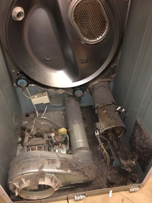 Photo of Sunrise Appliance Repair - Fair Oaks, CA, US. Samsung dryer cleaning and belt replacement
