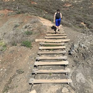 Black Sands Beach on Yelp