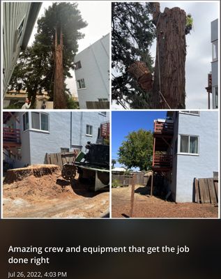 Photo of Cal-Line Tree Care - San Mateo - San Mateo, CA, US.