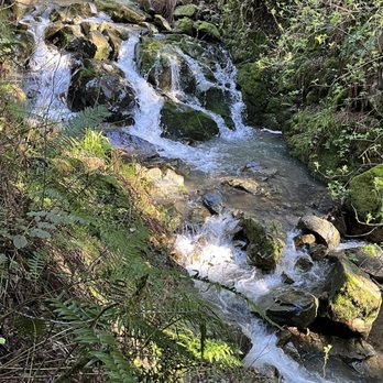 Mount Tamalpais State Park