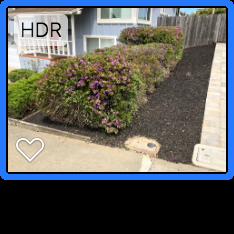 Photo of Nguyen's-Giup Gardening Services - San Bruno, CA, US. a picture of a flower bed in front of a house