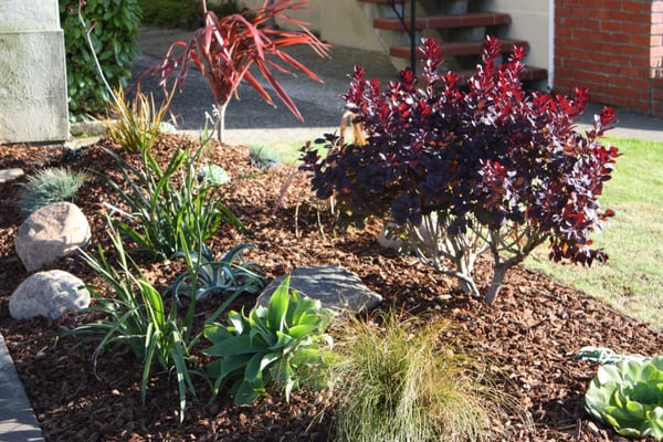 Photo of Inside Out Landscaping - South San Francisco, CA, US.