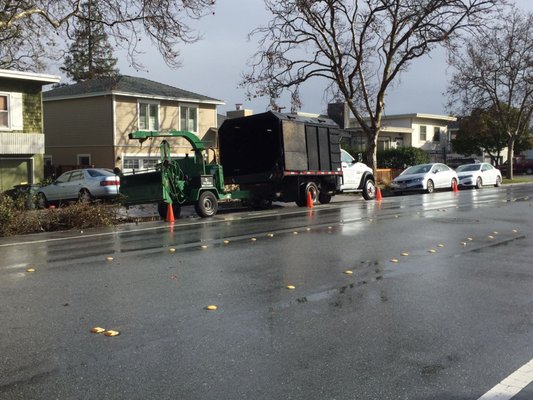 Photo of EC Tree Service - Redwood City, CA, US. Rain or shine EC Builders/Tree Service will be there to help you with your tree maintenance.