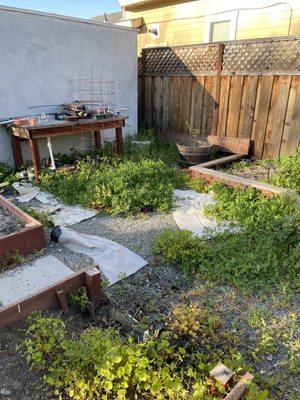 Photo of Willow Glen Gardening - San Jose, CA, US. the back yard of a home