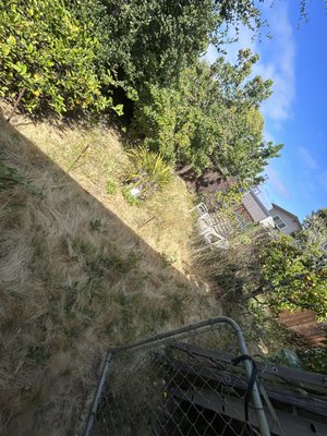 Photo of Orchid Landscaping & Gardening - San Francisco , CA, US. a view of a fenced yard