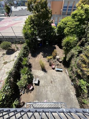 Photo of Evergreen Tree & Gardening Service - San Francisco, CA, US.