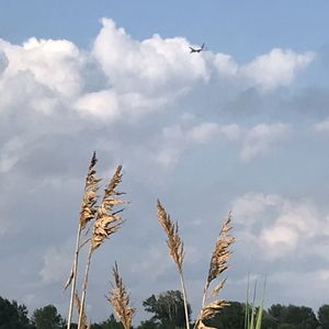 Salt Marsh Trails on Yelp