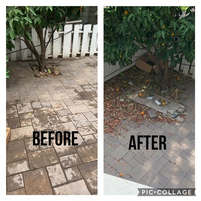 Photo of Richyelle's Cleaning - Daly City, CA, US. we also clean the entire area outside your house to make the entrance very visible and beautiful.