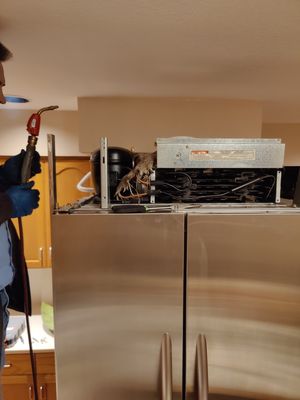 Photo of Sublime Appliance Repair - Sacramento, CA, US. Saving the life of a 20+yo KitchenAid built-in by finding a leak and replacing the sealed system, giving it another 20+ years to go! :)
