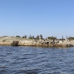 Shoreline Lake Boathouse