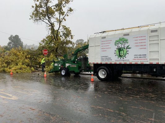 Photo of Urban Tree Care - Vallejo, CA, US. Emergency job!