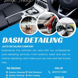 Dash Detailing