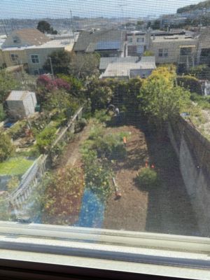 Photo of Discount Clean-Up Gardening - San Francisco, CA, US. The beginning phase