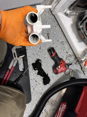 Photo of Triton Appliance repair - Palo Alto, CA, US. Clean drain pump for commercial speed queen unit