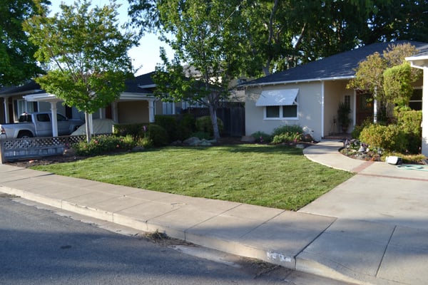 Photo of Hoes and Ditches - Oakland, CA, US. The completed lawn at San Carlos.