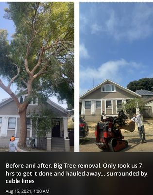 Photo of Cal-Line Tree Care - San Mateo - San Mateo, CA, US.