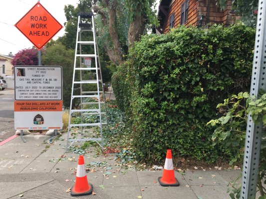 Photo of Haul U Need Yard Services - Berkeley, CA, US. With some help from the local street sign adding to the official Ness of my yard project (lol)