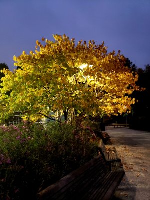 Photo of Inwood Hill Park - New York, NY, US.